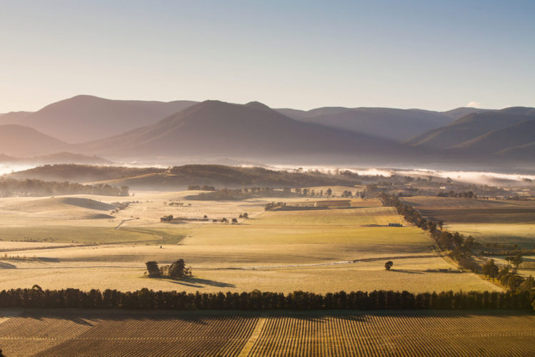 Забележителности в Австралия - Yarra River Valley