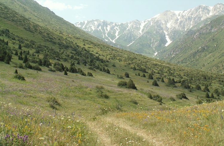 Резерват 
