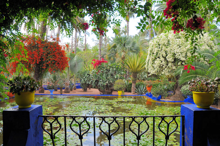 Jardin Majorelle - Забележителности на Мароко