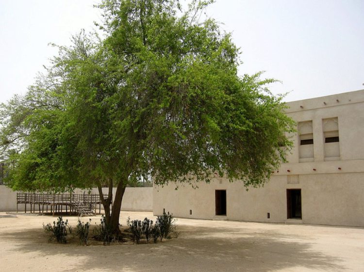 Къща Al Jasrah - забележителности в Бахрейн