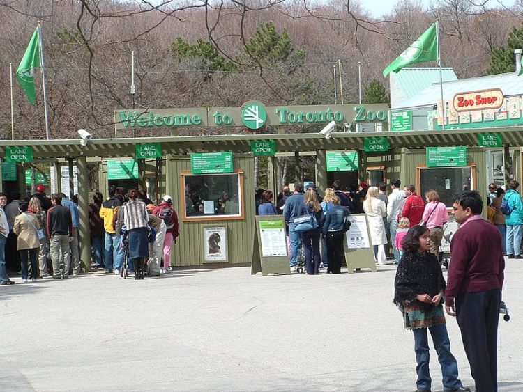 Зоологическа градина в Торонто, Канада