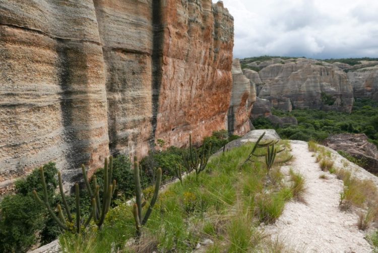 Национален парк Serra da Capivara в Бразилия