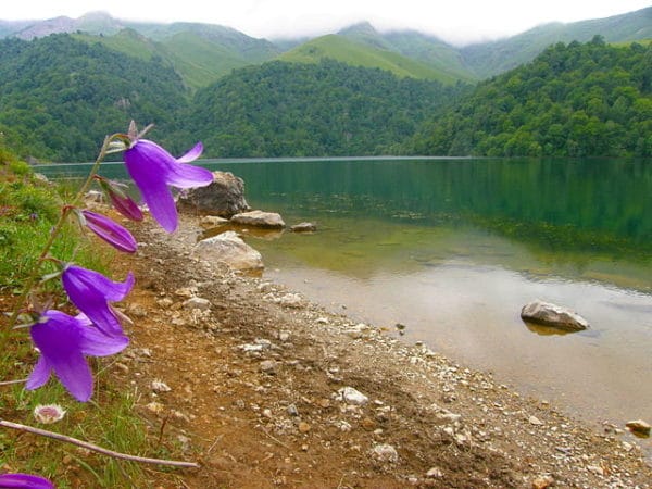 Pemandangan Azerbaijan - Taman Geygel (Gunung Kyapyaz)