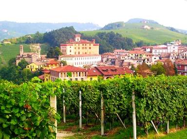 Barolo