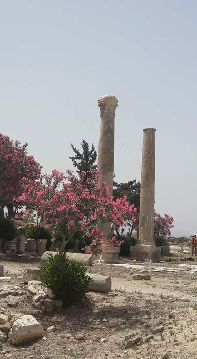 Экскурсия в Бейруте «Пурпурные города Сидон и Тир» | Tripzaza.com