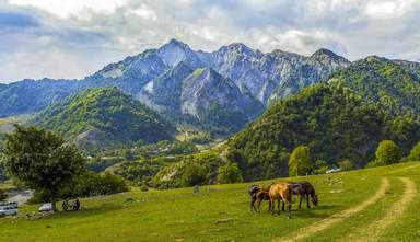 Габала