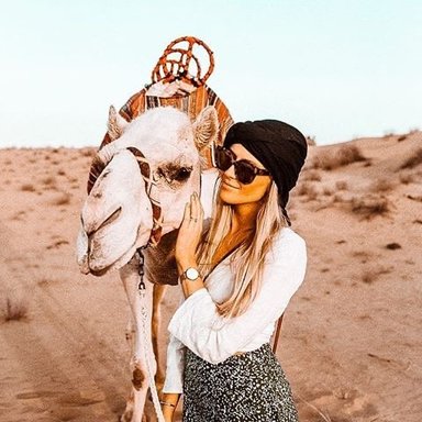 Safari