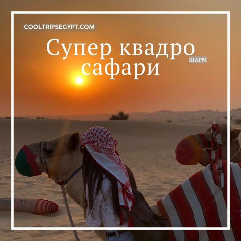 сафари