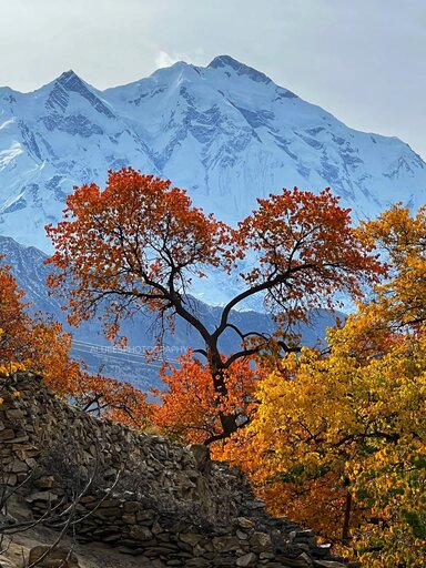 Rakaposhi in autumn 