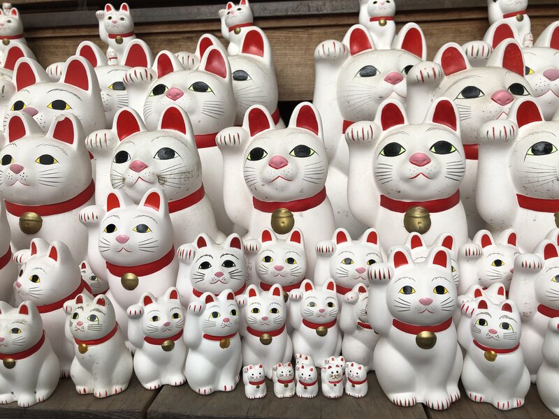 Тысячи манящих котиков в храме