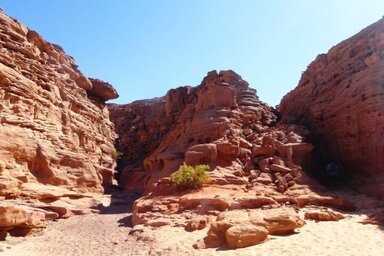 Каньон Саляма