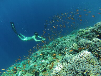 Голубая дыра