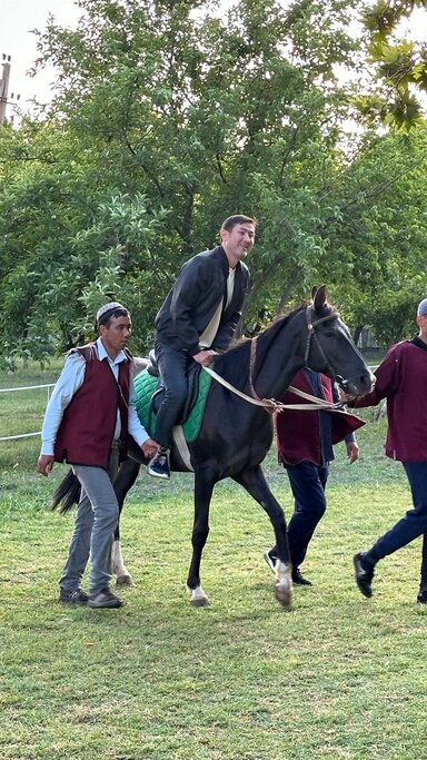 Конюшня Ахалтекинских лошадей 
