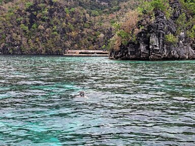 Коралловый сад