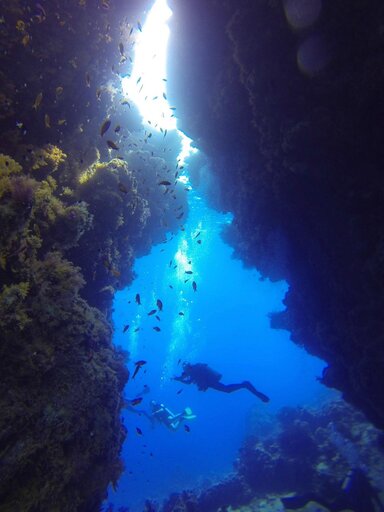 Коралловый риф