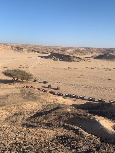 Сафари на квадроциклах