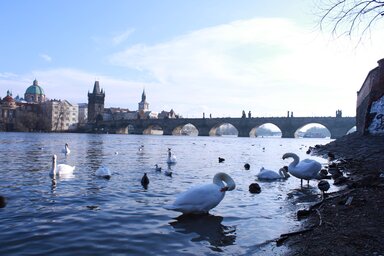 Карлов мост на реке Влтава в Праге