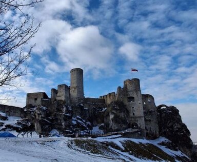замок Огродзенец