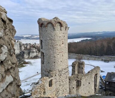 замок Огродзенец