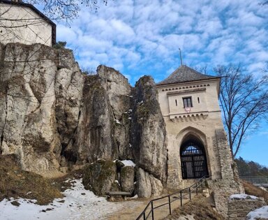 замок Ойцовский