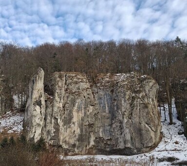 Ойцовский парк