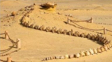 ワディ・アル・ヒタン（クジラの谷）