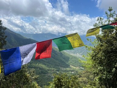 На пути к Гнезду Тигрицы