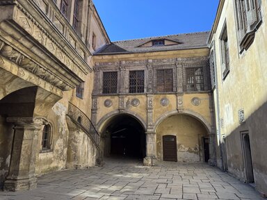 Дворник здания мэрии Гёрлица