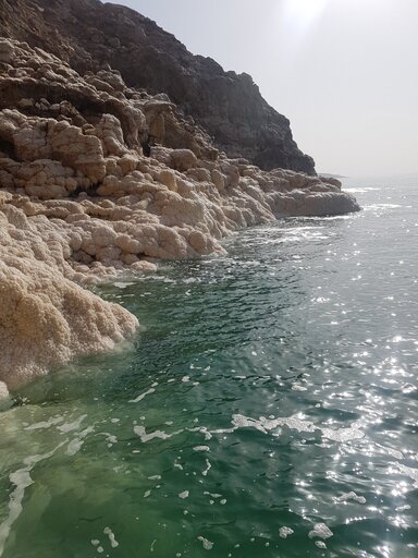 Кристаллы соли и соляные корки на берегу Мертвого моря.