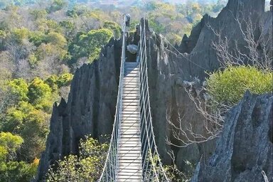 Hanging Bridge of Bemaraha National Park