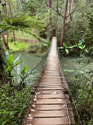 Andasibe National Park
