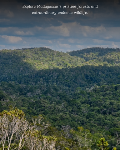 Andasibe Mantadia National Park