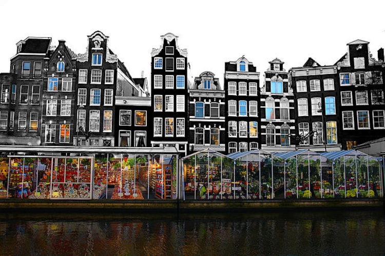 Bloemenmarkt - единственный в мире плавучий цветочный рынок, Амстердам, Голландия Цветочный рынок Bloemenmarkt (Блоеменмаркет) в Амстердаме, Голландия
