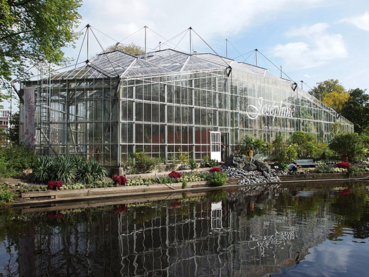Ботанический сад (Hortus Botanicus) в Амстердаме, Нидерланды Амстердамский ботанический сад (Hortus Botanicus) - достопримечательности Амстердама, Голландия