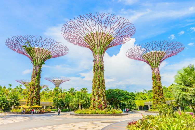 Сады у залива (Gardens by the Bay) в Сингапуре Сады у залива (Gardens by the Bay) - достопримечательности Сингапура